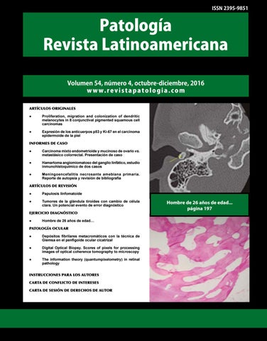 Fundación Privada Amiba