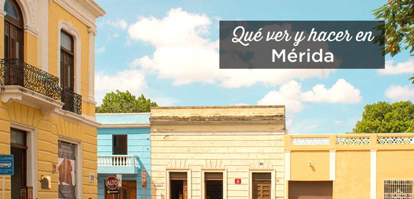 Centros De Día En Mérida