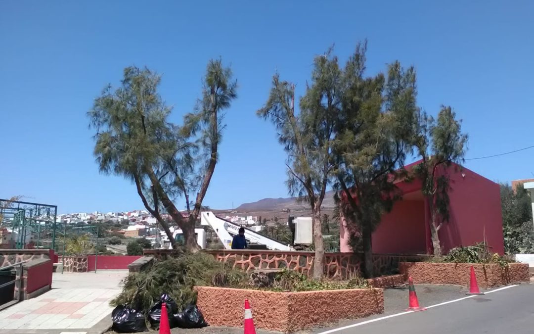 Solera Pío XII | Centro De Día Para Personas Mayores